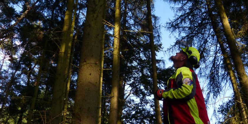 BestHarvest – Zwischenstand