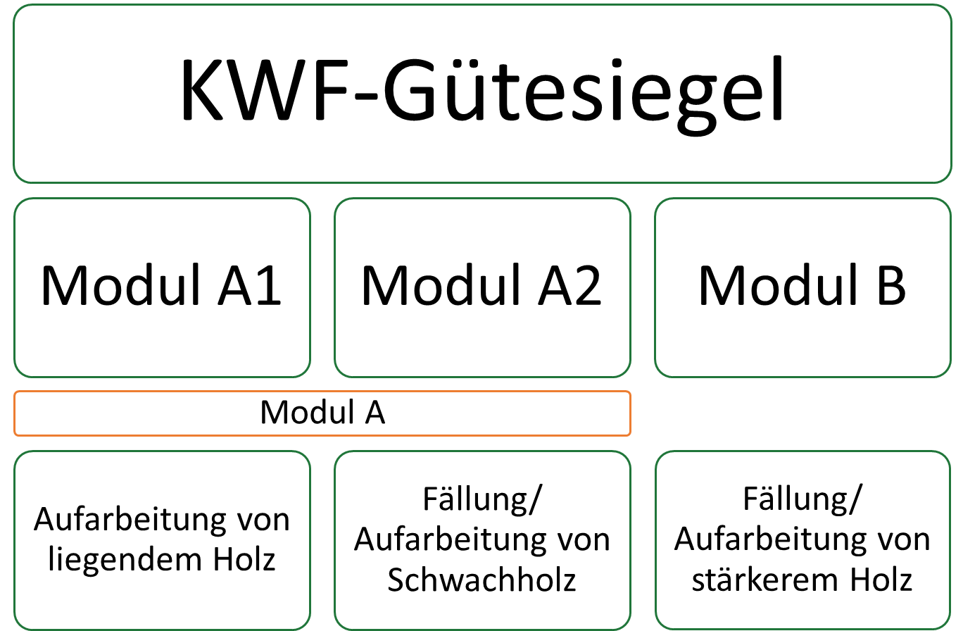 Motorsägenschein Modul A Und B Kosten