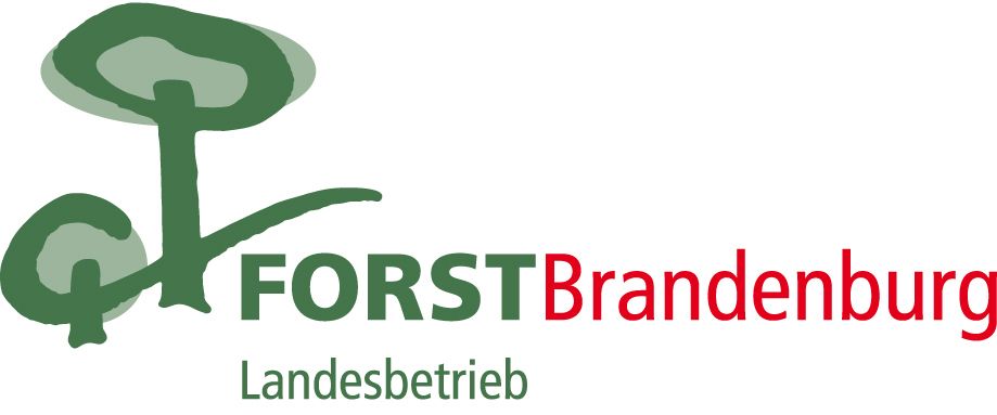Logo Forst Brandenburg